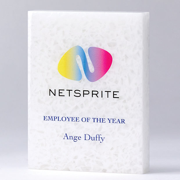 RE02 - 15cm x 12.5cm x 2.5cm 100 Recycled Acrylic Rectangle Award