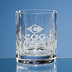 HM64 - 320ml Flamenco Crystalite Panel Whisky Tumbler